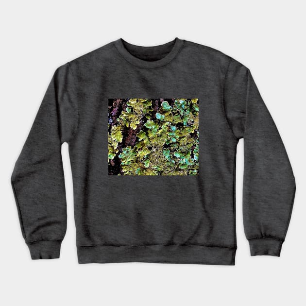 Lichen textures Crewneck Sweatshirt by Dillyzip1202